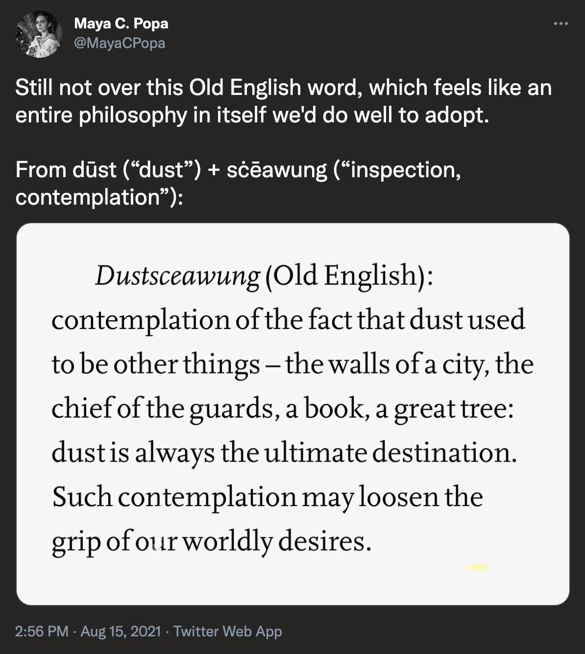 @MayaCPopa on Twitter: Still not over this Old English word, which feels like an entire philosophy in itself we'd do well to adopt. Dustsceawung (Old English): contemplation of the fact that dust used to be other things - the walls of a city, the chief of the guards, a book, a great tree: dust is always the ultimate destination. Such contemplation may loosen the grip of our worldly desires.