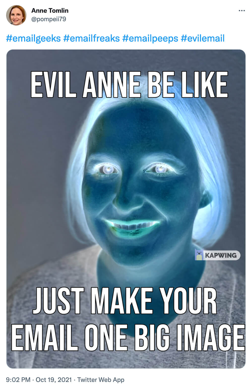 @pompeii79 on twitter: inverted image of Anne Tomlin with the text Evil Anne be like just make your email one big image over top of the image