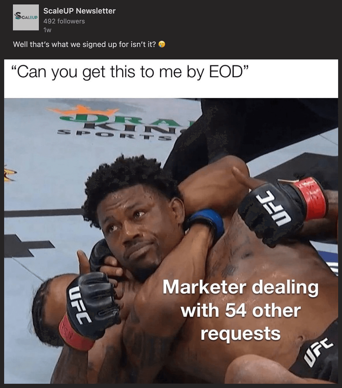 ScaleUP Newsletter on LinkedIn says 'Can you get this to me by EOD' with a meme of a UFC fighter giving two thumbs up that says 'Marketer dealing with 54 other requests