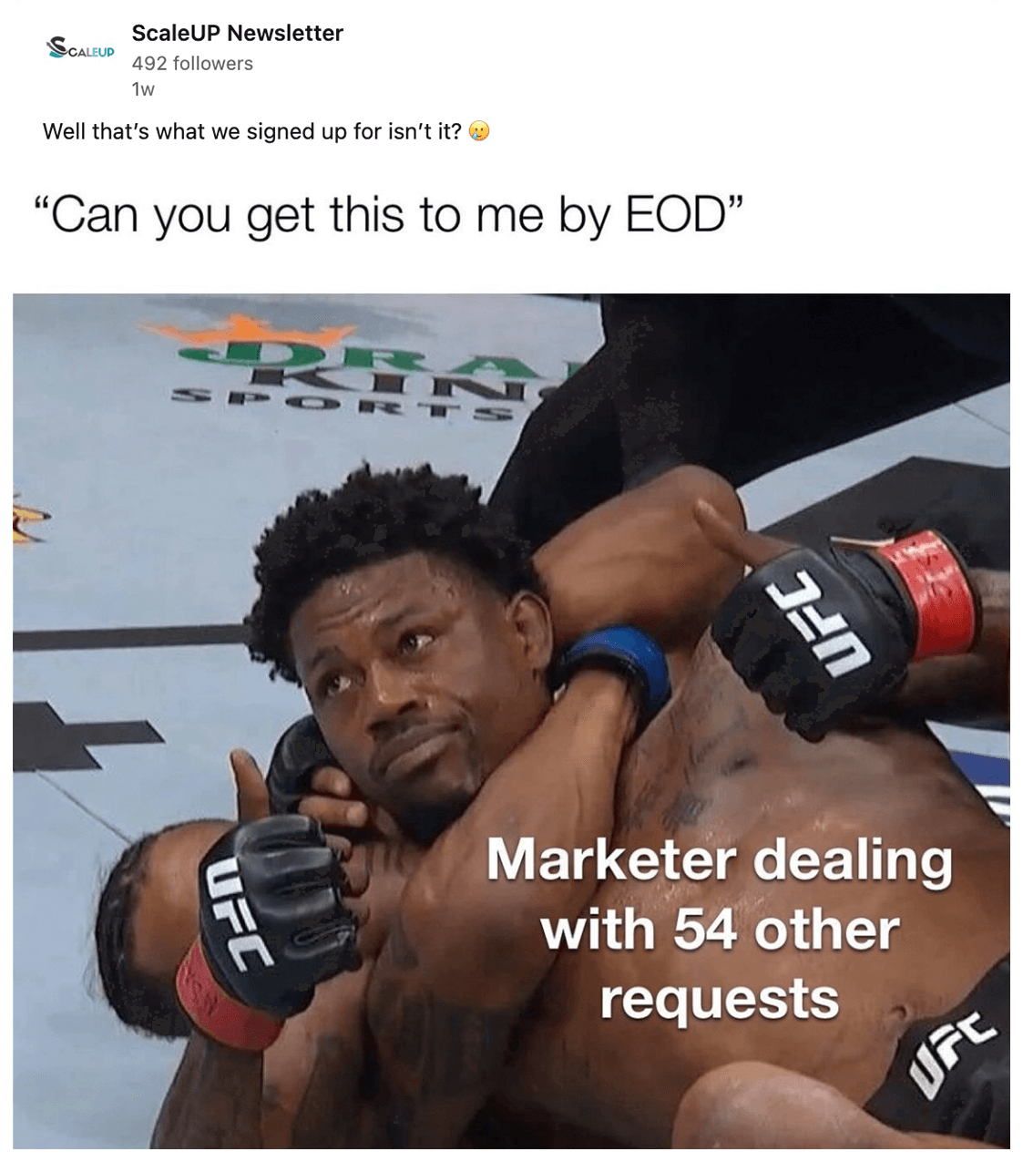 ScaleUP Newsletter on LinkedIn says, 'Well that's what we signed up for isn't it?' with a meme that says, 'Can you get this to me by EOD' with an image of a UFC fighter giving two thumbs up that says 'Marketer dealing with 54 other requests'