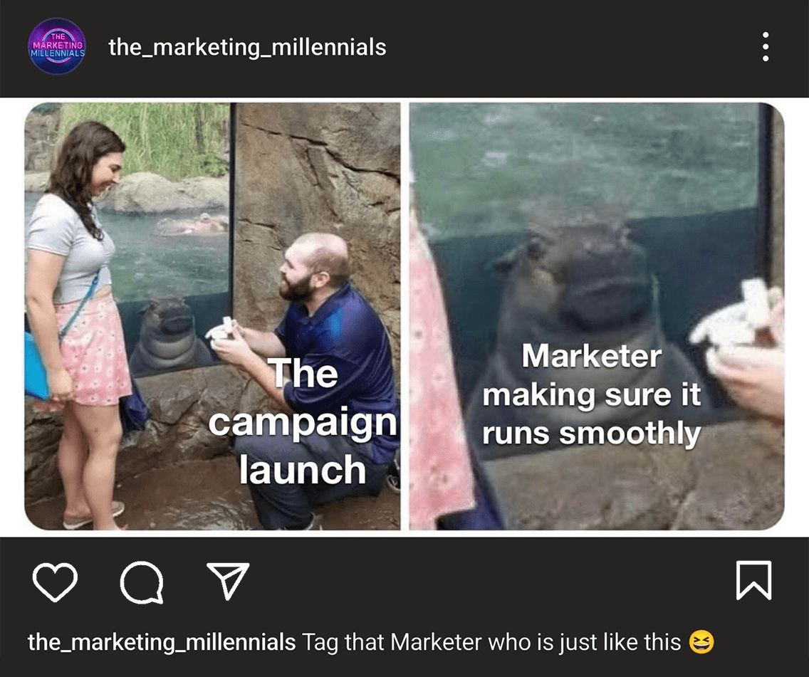 @the_marketing_millennials on Instagram posted a meme of someone on bended knee proposing to their significant other at an aquarium with a hippo watching attentively with the words 'The campaign launch' and 'The marketer making sure it runs smoothly'