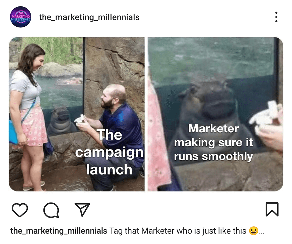 @the_marketing_millennials on Instagram posted a meme of someone on bended knee proposing to their significant other at an aquarium with a hippo watching attentively with the words 'The campaign launch' and 'The marketer making sure it runs smoothly'