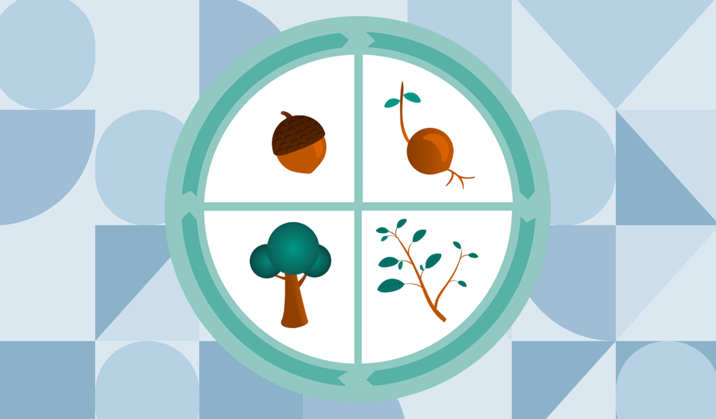 An acorn, a seed, a tree branch with leaves, and a tree in four quadrants of a circle, representing The State of Email In Lifecycle Marketing Report