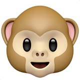 a monkey face