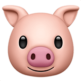 :pig face: